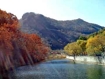 管家婆黑白马报图库，我在古代的日子